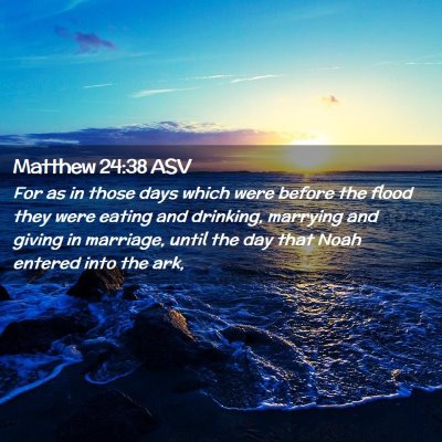 Picture 02 - Matthew 24:38 ASV - For as in those days which were before the flood - Bible Verse Picture