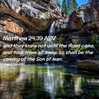 Picture 02 - Matthew 24:39 ASV - and they knew not until the flood came, and took - Bible Verse Picture