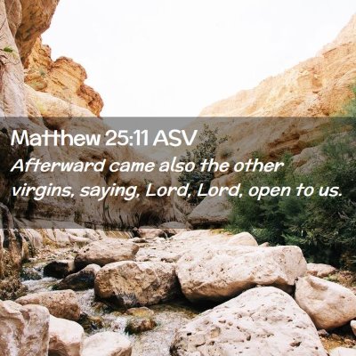 Picture 02 - Matthew 25:11 ASV - Afterward came also the other virgins, saying, - Bible Verse Picture
