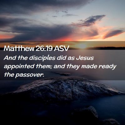 Picture 02 - Matthew 26:19 ASV - And the disciples did as Jesus appointed them; - Bible Verse Picture
