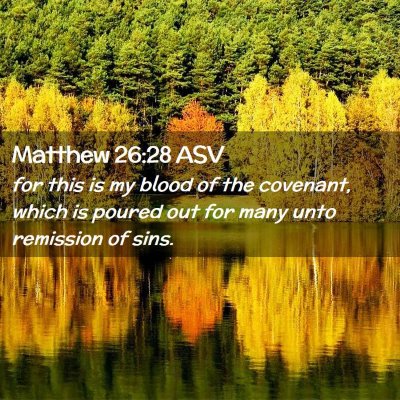 Picture 02 - Matthew 26:28 ASV - for this is my blood of the covenant, which is - Bible Verse Picture