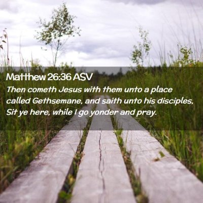 Picture 02 - Matthew 26:36 ASV - Then cometh Jesus with them unto a place called - Bible Verse Picture