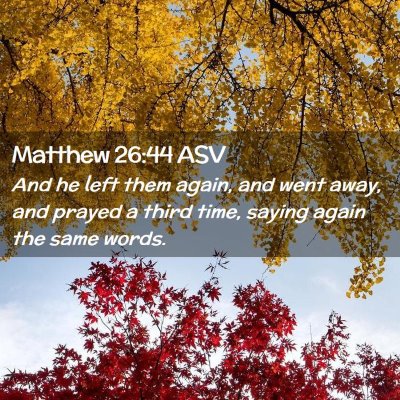 Picture 02 - Matthew 26:44 ASV - And he left them again, and went away, and prayed - Bible Verse Picture