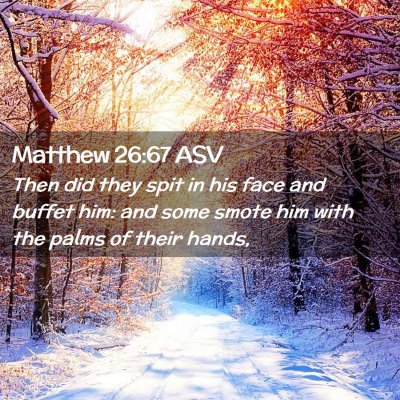 Picture 02 - Matthew 26:67 ASV - Then did they spit in his face and buffet him: - Bible Verse Picture