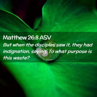 Picture 02 - Matthew 26:8 ASV - But when the disciples saw it, they had - Bible Verse Picture