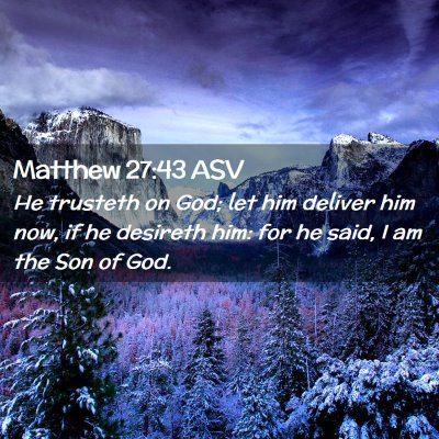 Picture 02 - Matthew 27:43 ASV - He trusteth on God; let him deliver him now, if - Bible Verse Picture