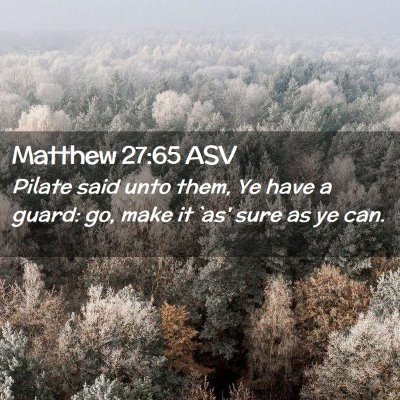 Picture 02 - Matthew 27:65 ASV - Pilate said unto them, Ye have a guard: go, make - Bible Verse Picture