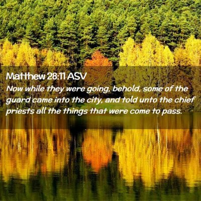 Picture 02 - Matthew 28:11 ASV - Now while they were going, behold, some of the - Bible Verse Picture