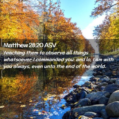 Picture 02 - Matthew 28:20 ASV - teaching them to observe all things whatsoever I - Bible Verse Picture