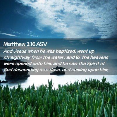 Picture 02 - Matthew 3:16 ASV - And Jesus when he was baptized, went up - Bible Verse Picture