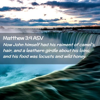 Picture 02 - Matthew 3:4 ASV - Now John himself had his raiment of camel's hair, - Bible Verse Picture