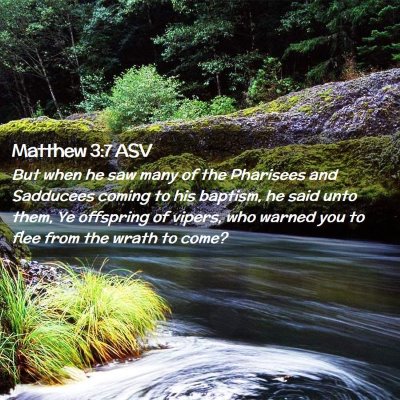 Picture 02 - Matthew 3:7 ASV - But when he saw many of the Pharisees and - Bible Verse Picture