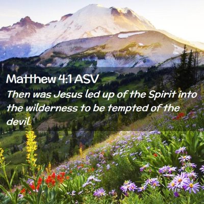 Picture 02 - Matthew 4:1 ASV - Then was Jesus led up of the Spirit into the - Bible Verse Picture