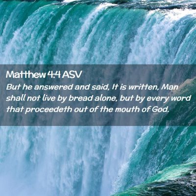 Picture 02 - Matthew 4:4 ASV - But he answered and said, It is written, Man - Bible Verse Picture