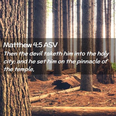Picture 02 - Matthew 4:5 ASV - Then the devil taketh him into the holy city; and - Bible Verse Picture