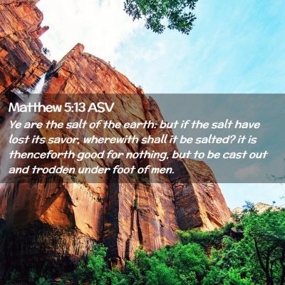 Picture 02 - Matthew 5:13 ASV - Ye are the salt of the earth: but if the salt - Bible Verse Picture