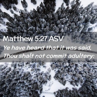 Picture 02 - Matthew 5:27 ASV - Ye have heard that it was said, Thou shalt not - Bible Verse Picture