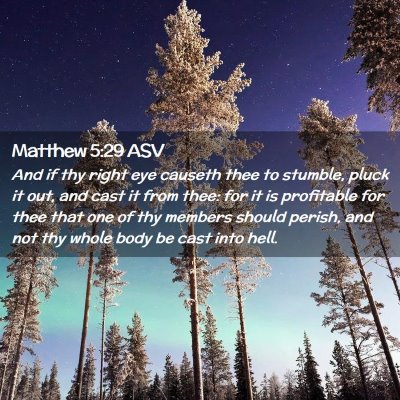Picture 02 - Matthew 5:29 ASV - And if thy right eye causeth thee to stumble, - Bible Verse Picture