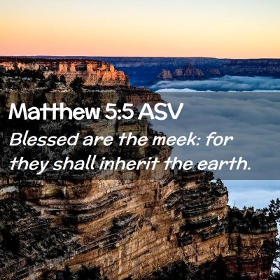 Picture 02 - Matthew 5:5 ASV - Blessed are the meek: for they shall inherit the - Bible Verse Picture
