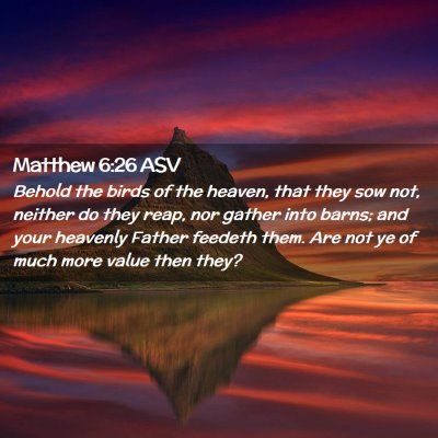 Picture 02 - Matthew 6:26 ASV - Behold the birds of the heaven, that they sow - Bible Verse Picture