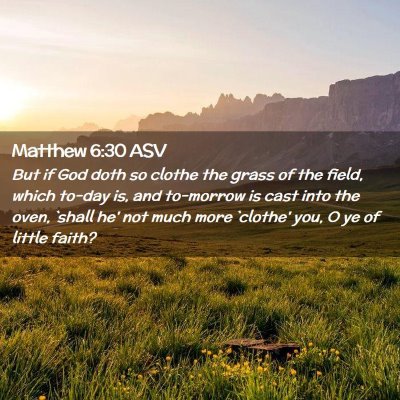 Picture 02 - Matthew 6:30 ASV - But if God doth so clothe the grass of the field, - Bible Verse Picture