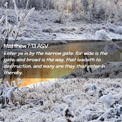 Picture 02 - Matthew 7:13 ASV - Enter ye in by the narrow gate: for wide is the - Bible Verse Picture