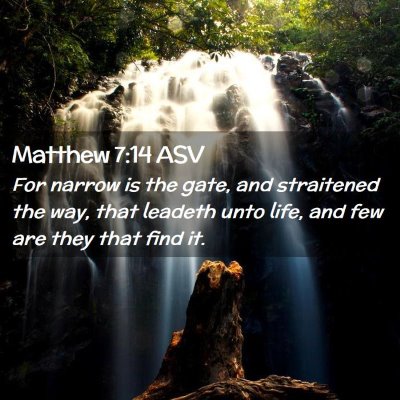 Picture 02 - Matthew 7:14 ASV - For narrow is the gate, and straitened the way, - Bible Verse Picture