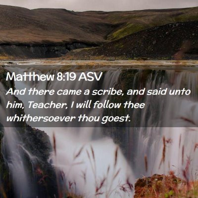 Picture 02 - Matthew 8:19 ASV - And there came a scribe, and said unto him, - Bible Verse Picture