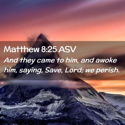 Picture 02 - Matthew 8:25 ASV - And they came to him, and awoke him, saying, - Bible Verse Picture