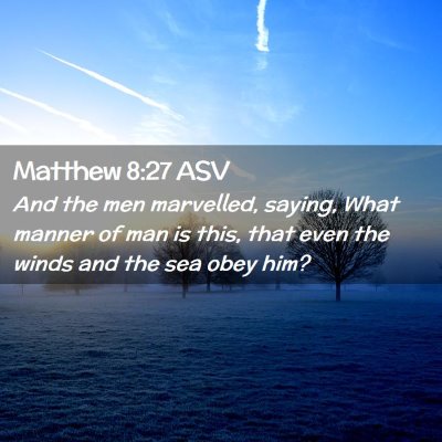 Picture 02 - Matthew 8:27 ASV - And the men marvelled, saying, What manner of man - Bible Verse Picture