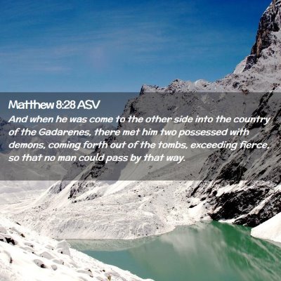 Picture 02 - Matthew 8:28 ASV - And when he was come to the other side into the - Bible Verse Picture