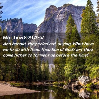 Picture 02 - Matthew 8:29 ASV - And behold, they cried out, saying, What have we - Bible Verse Picture