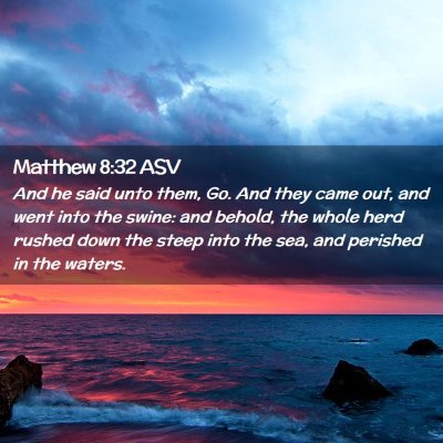Picture 02 - Matthew 8:32 ASV - And he said unto them, Go. And they came out, and - Bible Verse Picture