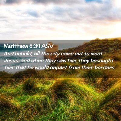 Picture 02 - Matthew 8:34 ASV - And behold, all the city came out to meet Jesus: - Bible Verse Picture