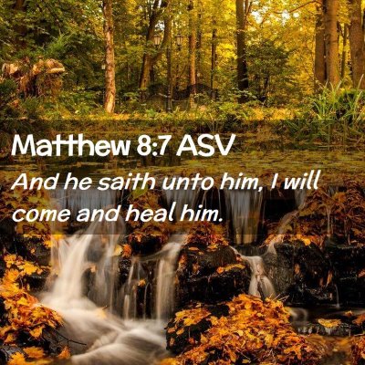 Picture 02 - Matthew 8:7 ASV - And he saith unto him, I will come and heal - Bible Verse Picture