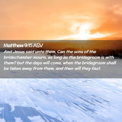 Picture 02 - Matthew 9:15 ASV - And Jesus said unto them, Can the sons of the - Bible Verse Picture