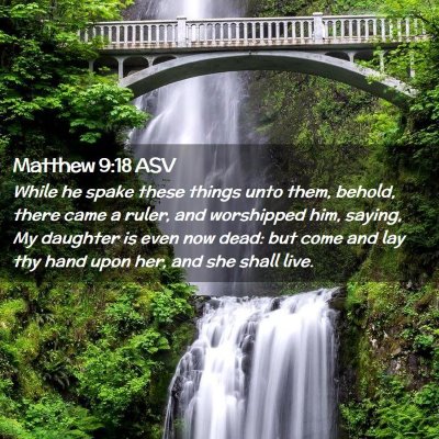 Picture 02 - Matthew 9:18 ASV - While he spake these things unto them, behold, - Bible Verse Picture