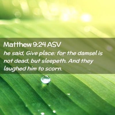 Picture 02 - Matthew 9:24 ASV - he said, Give place: for the damsel is not dead, - Bible Verse Picture