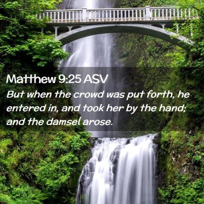 Picture 02 - Matthew 9:25 ASV - But when the crowd was put forth, he entered in, - Bible Verse Picture