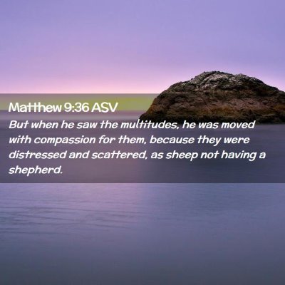 Picture 02 - Matthew 9:36 ASV - But when he saw the multitudes, he was moved with - Bible Verse Picture