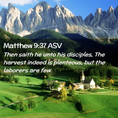 Picture 02 - Matthew 9:37 ASV - Then saith he unto his disciples, The harvest - Bible Verse Picture
