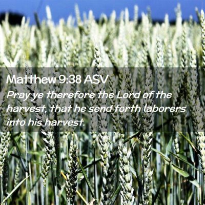 Picture 02 - Matthew 9:38 ASV - Pray ye therefore the Lord of the harvest, that - Bible Verse Picture