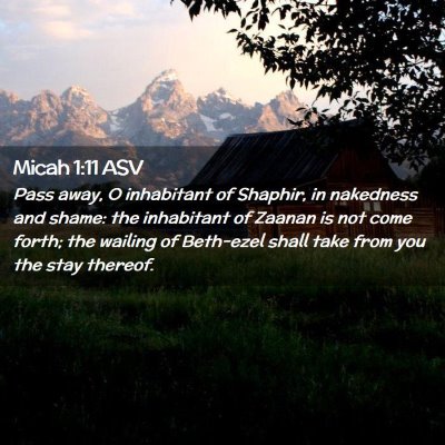 Picture 02 - Micah 1:11 ASV - Pass away, O inhabitant of Shaphir, in nakedness - Bible Verse Picture