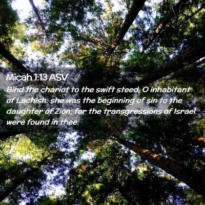 Picture 02 - Micah 1:13 ASV - Bind the chariot to the swift steed, O inhabitant - Bible Verse Picture