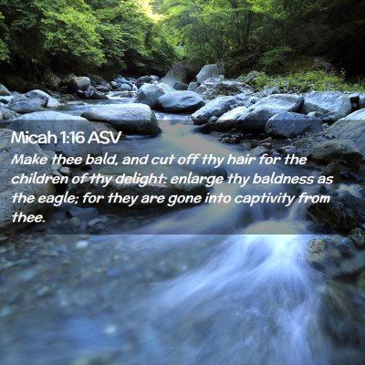 Picture 02 - Micah 1:16 ASV - Make thee bald, and cut off thy hair for the - Bible Verse Picture