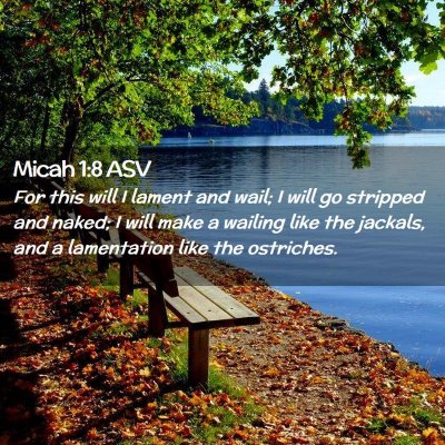 Picture 02 - Micah 1:8 ASV - For this will I lament and wail; I will go - Bible Verse Picture