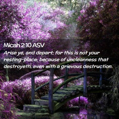 Picture 02 - Micah 2:10 ASV - Arise ye, and depart; for this is not your - Bible Verse Picture