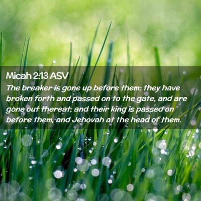 Picture 02 - Micah 2:13 ASV - The breaker is gone up before them: they have - Bible Verse Picture