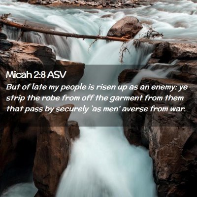 Picture 02 - Micah 2:8 ASV - But of late my people is risen up as an enemy: ye - Bible Verse Picture