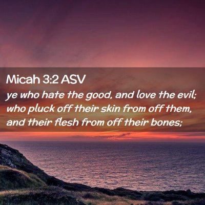 Picture 02 - Micah 3:2 ASV - ye who hate the good, and love the evil; who - Bible Verse Picture